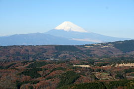 明けましておめでとうございます。