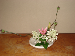 桂小金治講演会