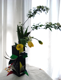 桂小金治講演会