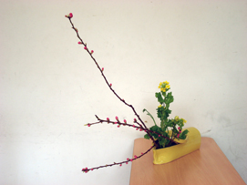 桂小金治講演会