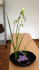 桂小金治講演会