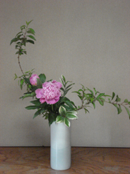 桂小金治講演会