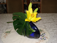 桂小金治講演会