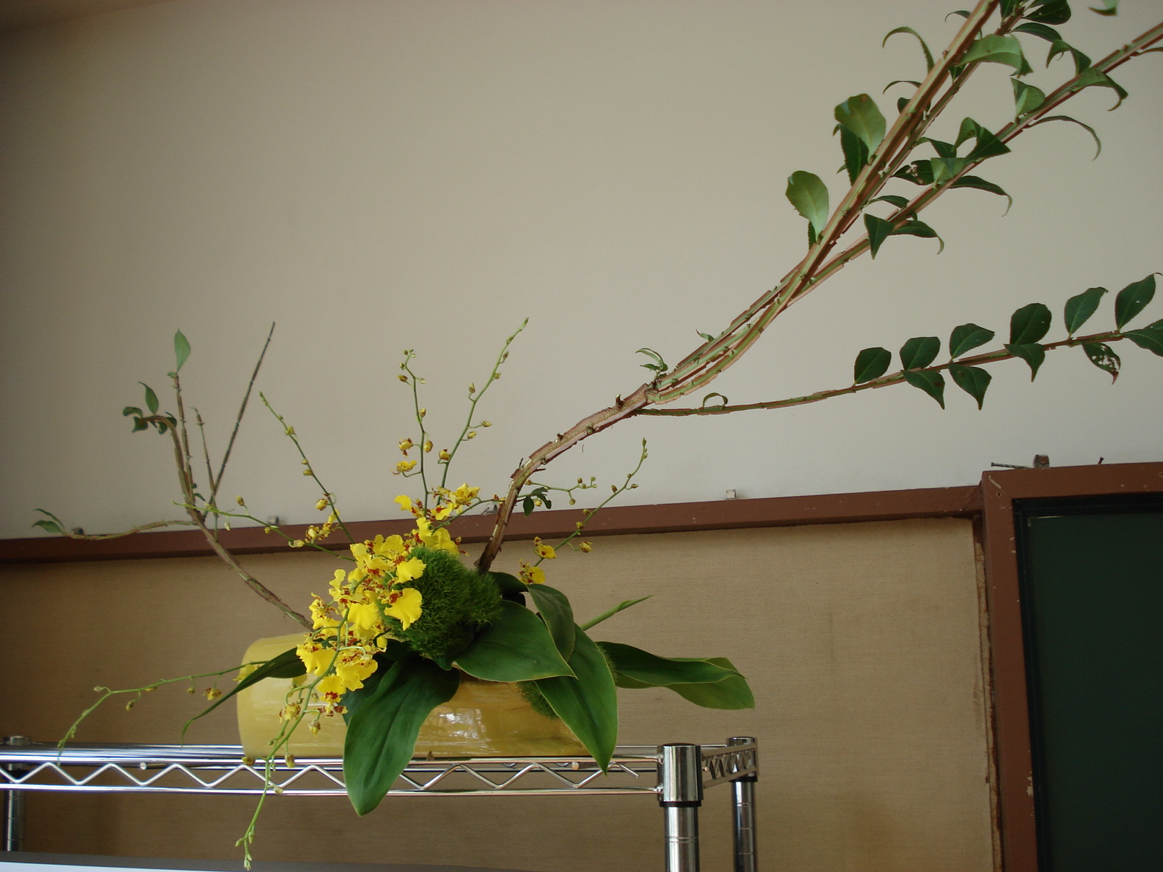 桂小金治講演会