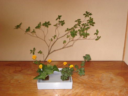 桂小金治講演会