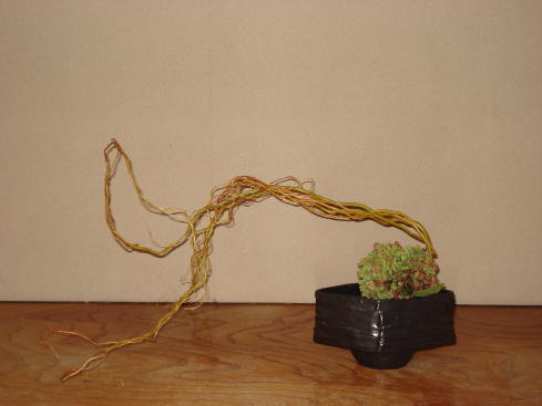 桂小金治講演会