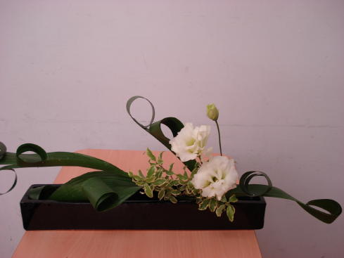 桂小金治講演会