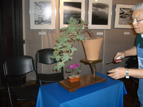 アルゼンチンの花祭り