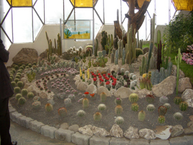 アルゼンチンの花祭り