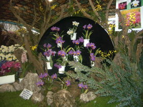 アルゼンチンの花祭り