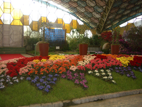 アルゼンチンの花祭り