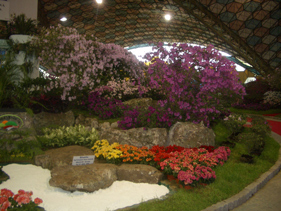 アルゼンチンの花祭り