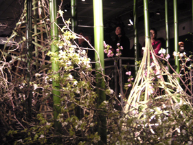 個展「私の花」